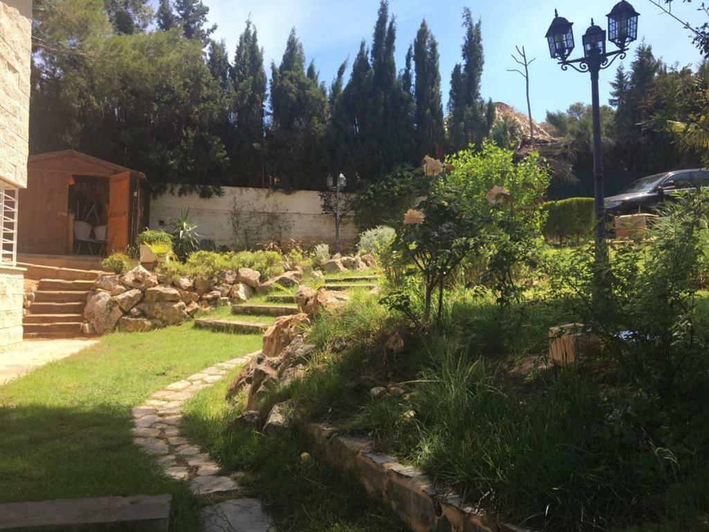 Domus Valencia Apartamentos Casa Con Piscina Privada A 30 Minutos De Valencia Turís Exterior foto